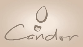 CANDOR logo